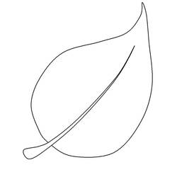 Dessin à colorier: Feuille (Nature et saisons) #191845 - Coloriages à Imprimer Gratuits