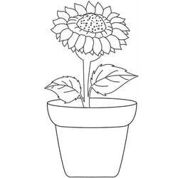 Dessin à colorier: Fleur (Nature et saisons) #170862 - Coloriages à Imprimer Gratuits