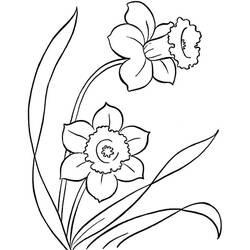 Dessin à colorier: Fleur (Nature et saisons) #170866 - Coloriages à Imprimer Gratuits