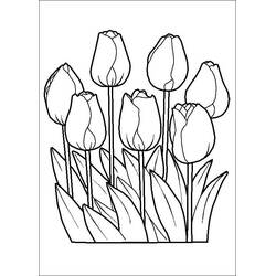 Dessin à colorier: Fleur (Nature et saisons) #170878 - Coloriages à Imprimer Gratuits