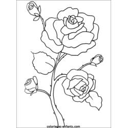 Dessin à colorier: Fleurs (Nature et saisons) #154967 - Coloriages à Imprimer Gratuits