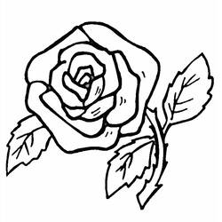 Dessin à colorier: Fleurs (Nature et saisons) #154971 - Coloriages à Imprimer Gratuits