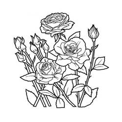 Dessin à colorier: Fleurs (Nature et saisons) #154978 - Coloriages à Imprimer Gratuits