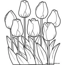 Dessin à colorier: Fleurs (Nature et saisons) #154985 - Coloriages à Imprimer Gratuits