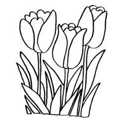 Dessin à colorier: Fleurs (Nature et saisons) #154991 - Coloriages à Imprimer Gratuits