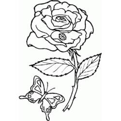 Dessin à colorier: Fleurs (Nature et saisons) #154996 - Coloriages à Imprimer Gratuits