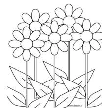 Dessin à colorier: Fleurs (Nature et saisons) #154997 - Coloriages à Imprimer Gratuits
