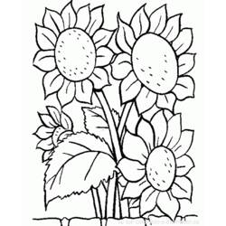 Dessin à colorier: Fleurs (Nature et saisons) #155000 - Coloriages à Imprimer Gratuits