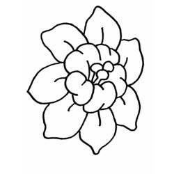Dessin à colorier: Fleurs (Nature et saisons) #155010 - Coloriages à Imprimer Gratuits