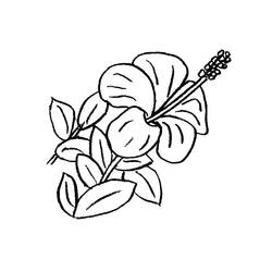 Dessin à colorier: Fleurs (Nature et saisons) #155014 - Coloriages à Imprimer Gratuits