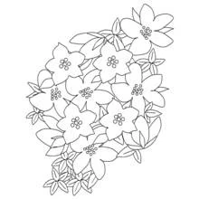 Dessin à colorier: Fleurs (Nature et saisons) #155063 - Coloriages à Imprimer Gratuits