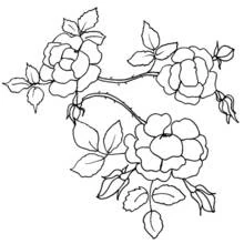 Dessin à colorier: Fleurs (Nature et saisons) #155096 - Coloriages à Imprimer Gratuits