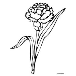 Dessin à colorier: Fleurs (Nature et saisons) #155180 - Coloriages à Imprimer Gratuits