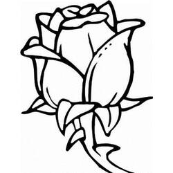 Dessin à colorier: Fleurs (Nature et saisons) #155204 - Coloriages à Imprimer Gratuits