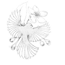 Dessin à colorier: Fleurs (Nature et saisons) #155221 - Coloriages à Imprimer Gratuits