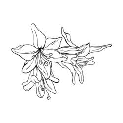 Dessin à colorier: Fleurs (Nature et saisons) #155238 - Coloriages à Imprimer Gratuits