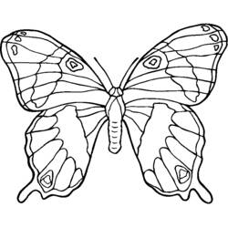 Dessin à colorier: Fleurs (Nature et saisons) #155255 - Coloriages à Imprimer Gratuits