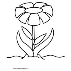 Dessin à colorier: Fleurs (Nature et saisons) #155264 - Coloriages à Imprimer Gratuits