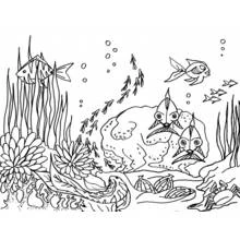 Dessin à colorier: Fond Marin (Nature et saisons) #160102 - Coloriages à Imprimer Gratuits