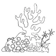 Dessin à colorier: Fond Marin (Nature et saisons) #160105 - Coloriages à Imprimer Gratuits