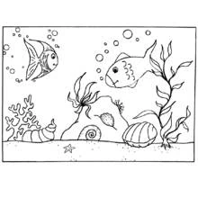 Dessin à colorier: Fond Marin (Nature et saisons) #160107 - Coloriages à Imprimer Gratuits