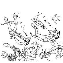Dessin à colorier: Fond Marin (Nature et saisons) #160125 - Coloriages à Imprimer Gratuits