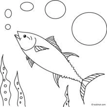 Dessin à colorier: Fond Marin (Nature et saisons) #160160 - Coloriages à Imprimer Gratuits