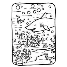 Dessin à colorier: Fond Marin (Nature et saisons) #160161 - Coloriages à Imprimer Gratuits
