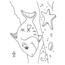 Dessin à colorier: Fond Marin (Nature et saisons) #160199 - Coloriages à Imprimer Gratuits