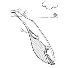 Dessin à colorier: Fond Marin (Nature et saisons) #160210 - Coloriages à Imprimer Gratuits