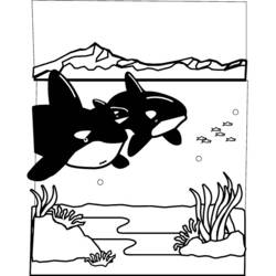 Dessin à colorier: Fond Marin (Nature et saisons) #160214 - Coloriages à Imprimer Gratuits