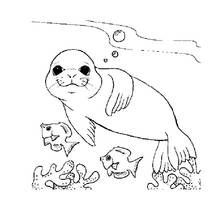 Dessin à colorier: Fond Marin (Nature et saisons) #160217 - Coloriages à Imprimer Gratuits