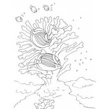 Dessin à colorier: Fond Marin (Nature et saisons) #160248 - Coloriages à Imprimer Gratuits