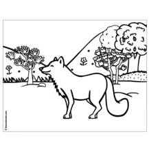 Dessin à colorier: Forêt (Nature et saisons) #157004 - Coloriages à Imprimer Gratuits