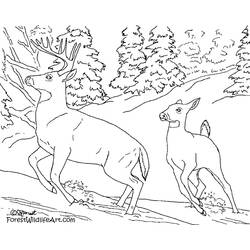 Dessin à colorier: Forêt (Nature et saisons) #157042 - Coloriages à Imprimer Gratuits