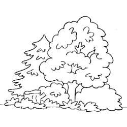 Dessin à colorier: Forêt (Nature et saisons) #157044 - Coloriages à Imprimer Gratuits