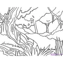 Dessin à colorier: Forêt (Nature et saisons) #157202 - Coloriages à Imprimer Gratuits