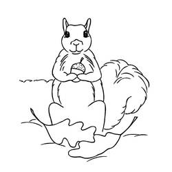 Dessin à colorier: Gland (Nature et saisons) #218503 - Coloriages à Imprimer Gratuits