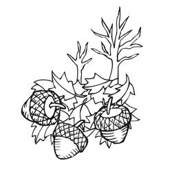 Dessin à colorier: Gland (Nature et saisons) #218516 - Coloriages à Imprimer Gratuits