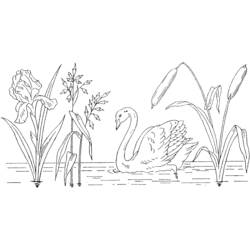 Dessin à colorier: Lac (Nature et saisons) #166100 - Coloriages à Imprimer Gratuits