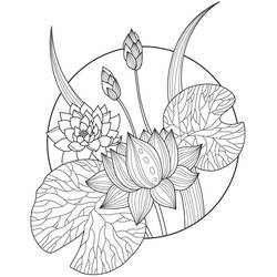 Dessins à colorier: Lotus - Coloriages à Imprimer Gratuits