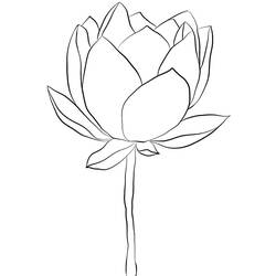 Dessin à colorier: Lotus (Nature et saisons) #182319 - Coloriages à Imprimer Gratuits
