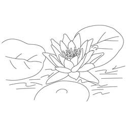 Dessin à colorier: Lotus (Nature et saisons) #182323 - Coloriages à Imprimer Gratuits