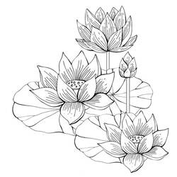 Dessin à colorier: Lotus (Nature et saisons) #182329 - Coloriages à Imprimer Gratuits