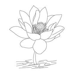 Dessin à colorier: Lotus (Nature et saisons) #182331 - Coloriages à Imprimer Gratuits