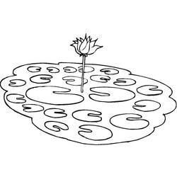 Dessin à colorier: Lotus (Nature et saisons) #182333 - Coloriages à Imprimer Gratuits