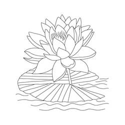 Dessin à colorier: Lotus (Nature et saisons) #182335 - Coloriages à Imprimer Gratuits