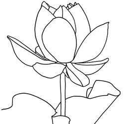 Dessin à colorier: Lotus (Nature et saisons) #182338 - Coloriages à Imprimer Gratuits