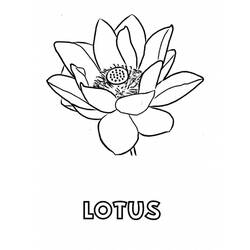 Dessin à colorier: Lotus (Nature et saisons) #182343 - Coloriages à Imprimer Gratuits