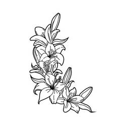 Dessin à colorier: Lys (Nature et saisons) #182381 - Coloriages à Imprimer Gratuits